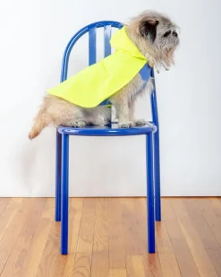 Action Jacket Dog Pull-On Raincoat in Safety Yellow + Blue (Made in NYC)