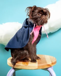 Action Jacket Pull-On Raincoat in Navy + Neon Pink (Made in NYC)