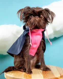 Action Jacket Pull-On Raincoat in Navy + Neon Pink (Made in NYC)
