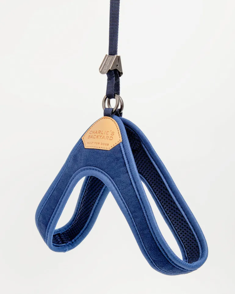 Adjustable Easy Dog Harness in Navy