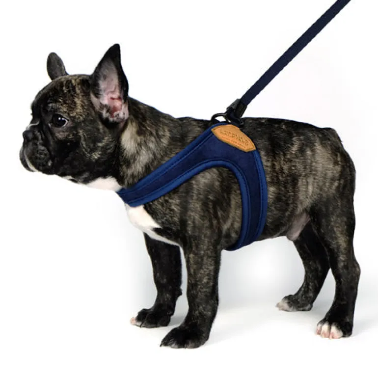 Adjustable Easy Dog Harness in Navy