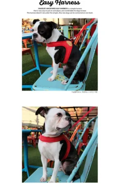 Adjustable Easy Dog Harness in Red