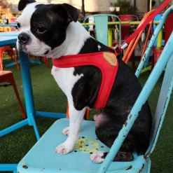 Adjustable Easy Dog Harness in Red