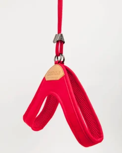 Adjustable Easy Dog Harness in Red