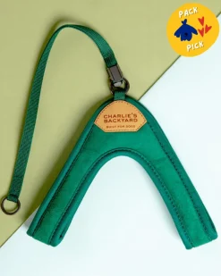 Adjustable Easy Dog Harness in Green