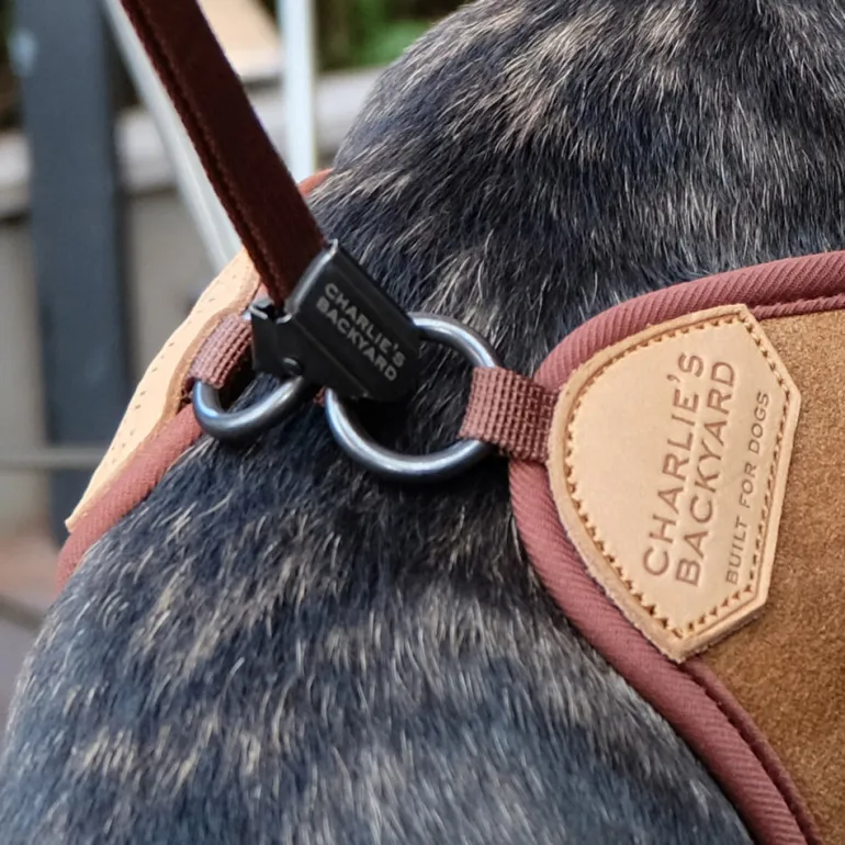 Adjustable Easy Dog Harness in Tan