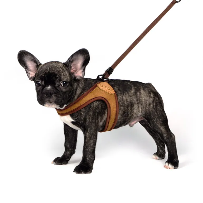 Adjustable Easy Dog Harness in Tan