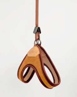 Adjustable Easy Dog Harness in Tan