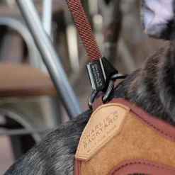 Adjustable Easy Dog Harness in Tan