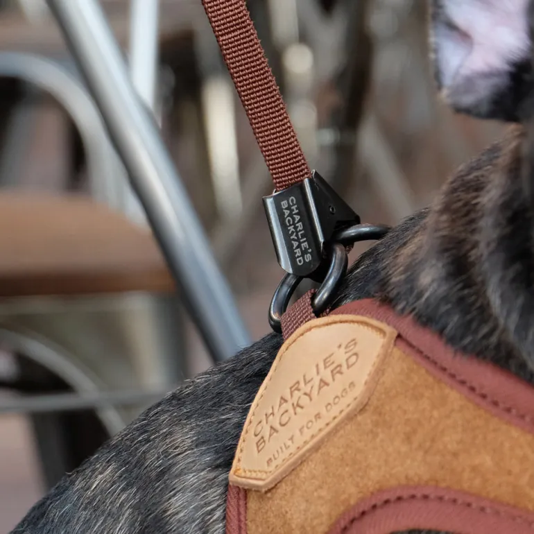 Adjustable Easy Dog Harness in Tan