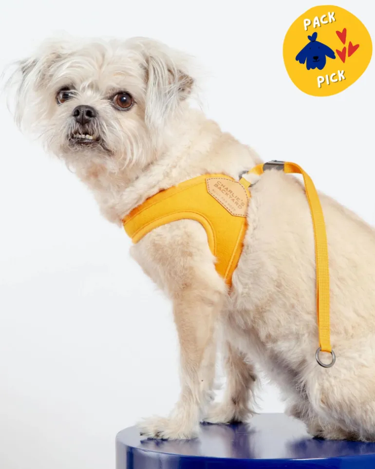 Adjustable Easy Dog Harness in Yellow (Dog & Co. X Charlie's Backyard Exclusive)