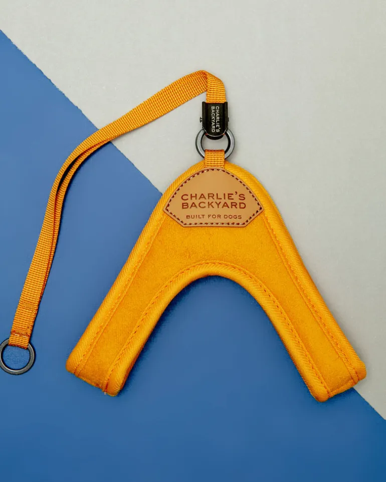 Adjustable Easy Dog Harness in Yellow (Dog & Co. X Charlie's Backyard Exclusive)