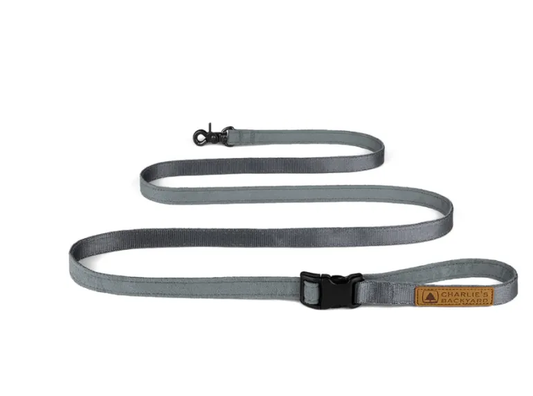 Adjustable Easy Dog Leash in Gray