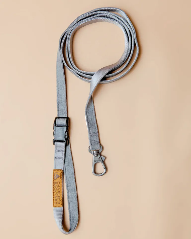 Adjustable Easy Dog Leash in Gray