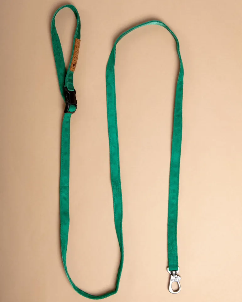 Adjustable Easy Dog Leash in Green