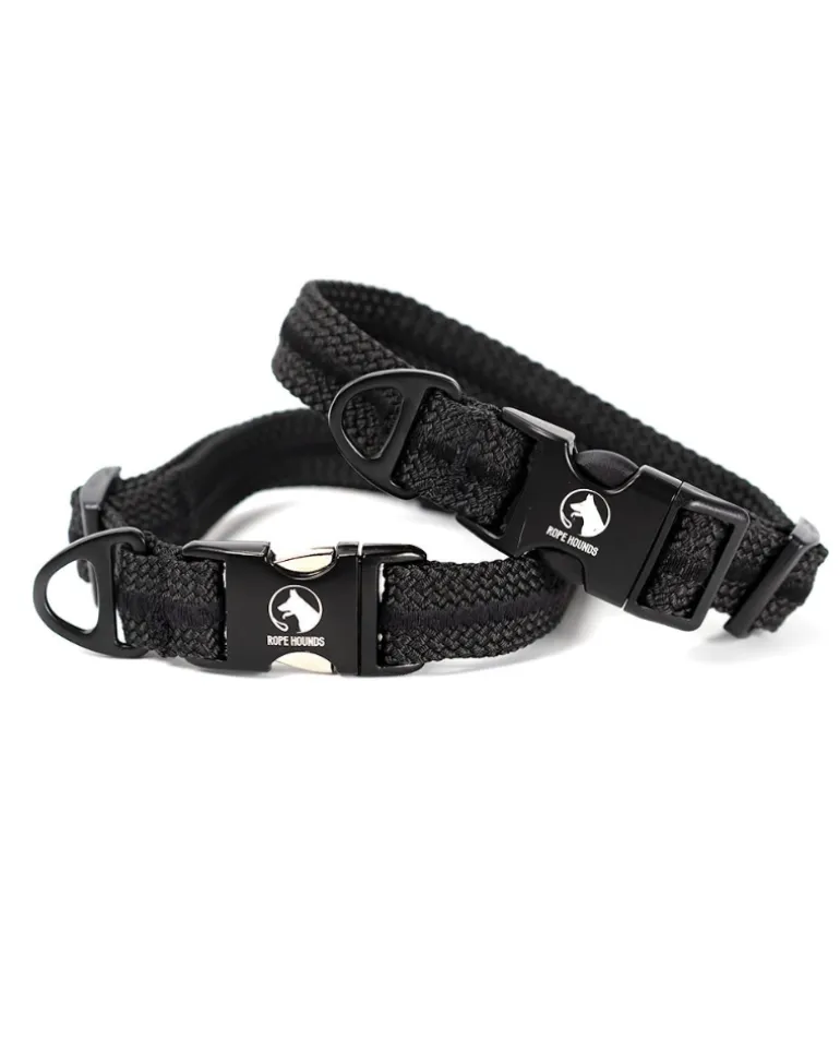 Adventure Dog Collar in Black (Made in the USA)