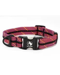 Adventure Dog Collar in Mulberry Wine (Made in the USA)