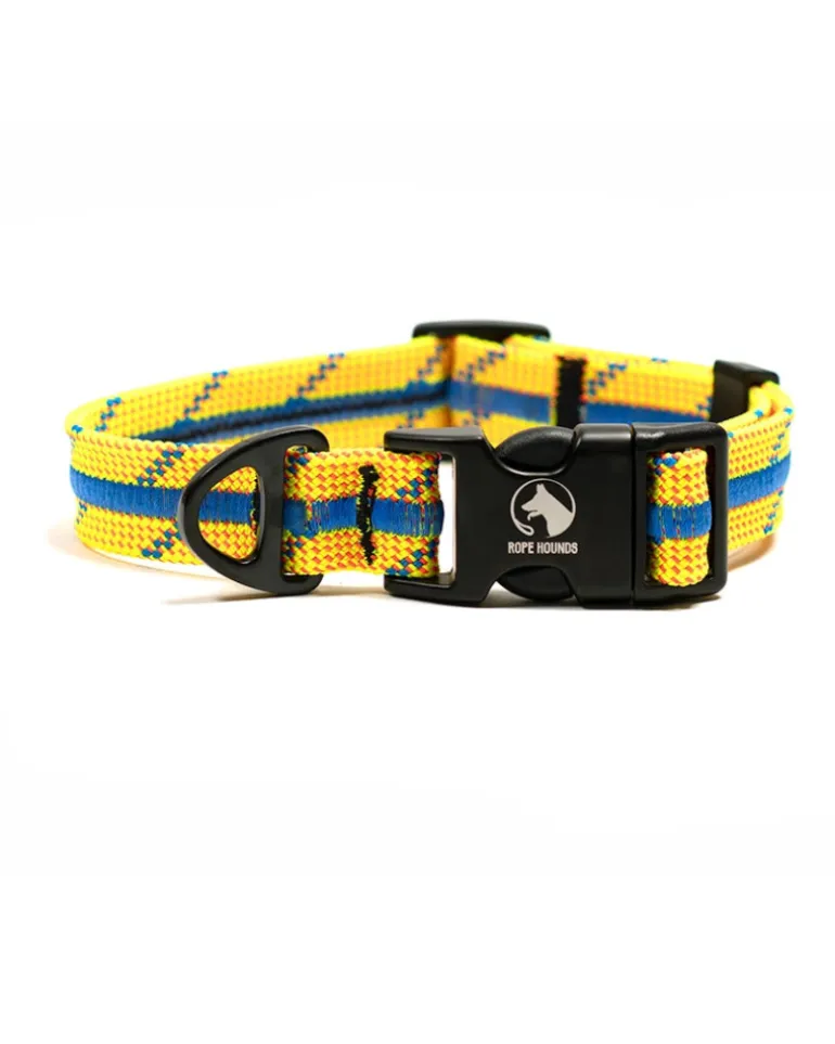Adventure Dog Collar in Sunkiss Splash (Made in the USA)