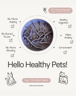 Adventure Slow Feeder for Dogs and Cats