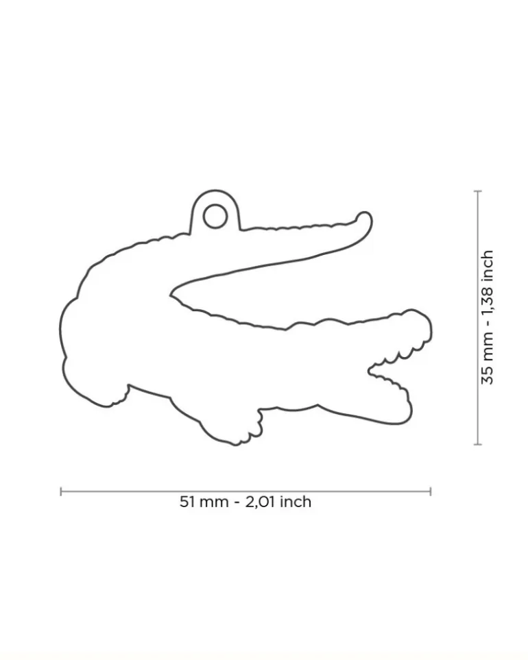 After While, Crocodile Custom Pet ID Tag