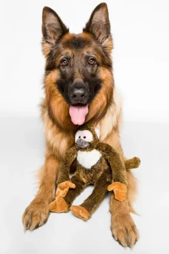 Albert the Monkey Plush Dog Toy