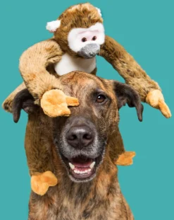 Albert the Monkey Plush Dog Toy