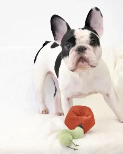 Apple Interactive Snuffle Dog Toy