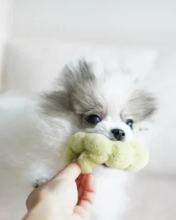 Apple Interactive Snuffle Dog Toy