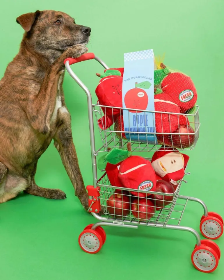 Apple Nosework Dog Toy