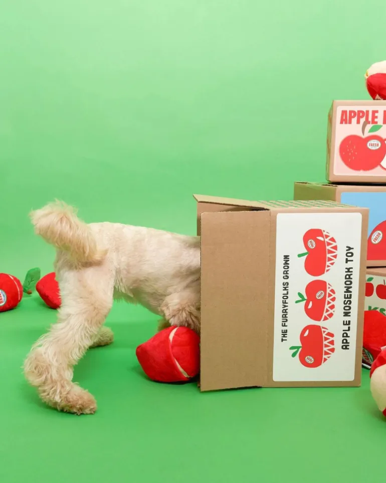 Apple Nosework Dog Toy