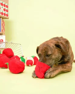 Apple Nosework Dog Toy