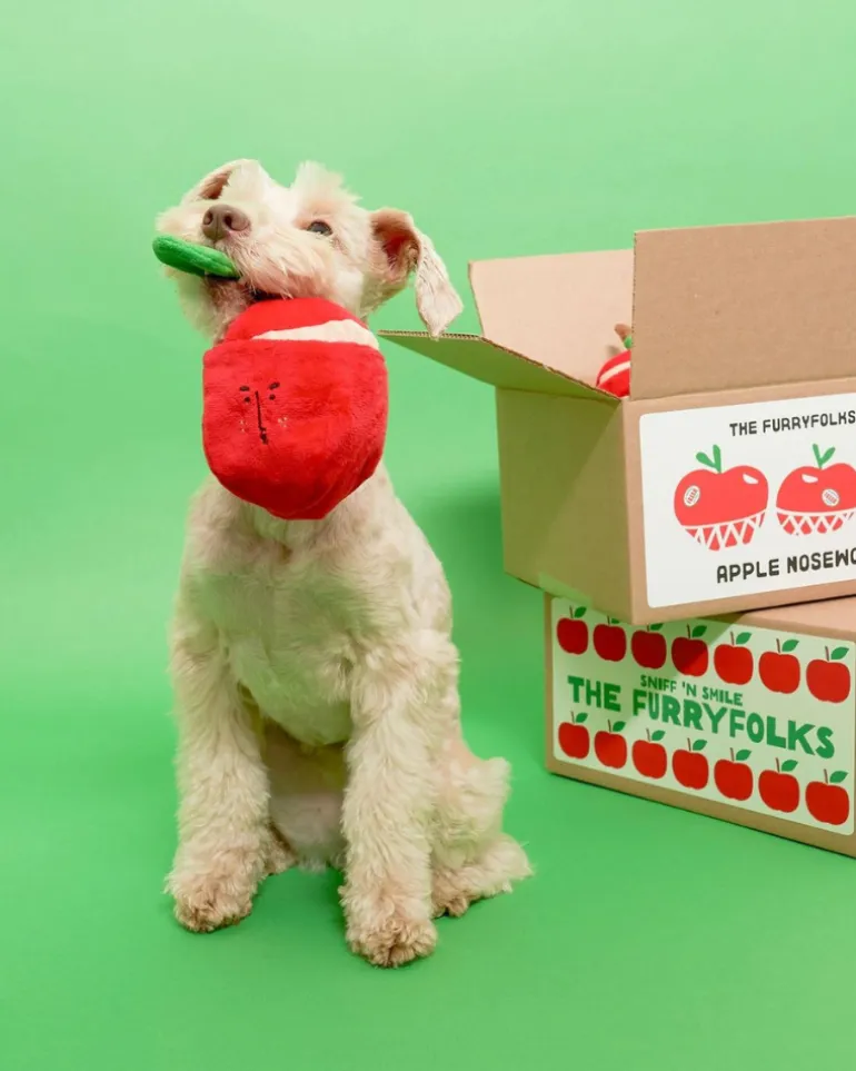 Apple Nosework Dog Toy