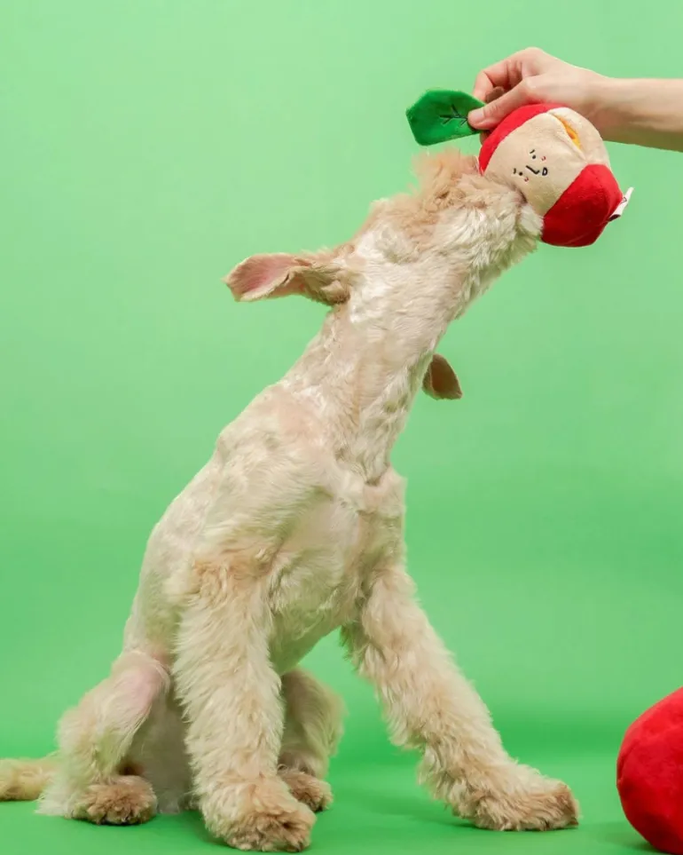Apple Nosework Dog Toy