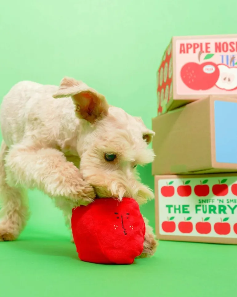 Apple Nosework Dog Toy