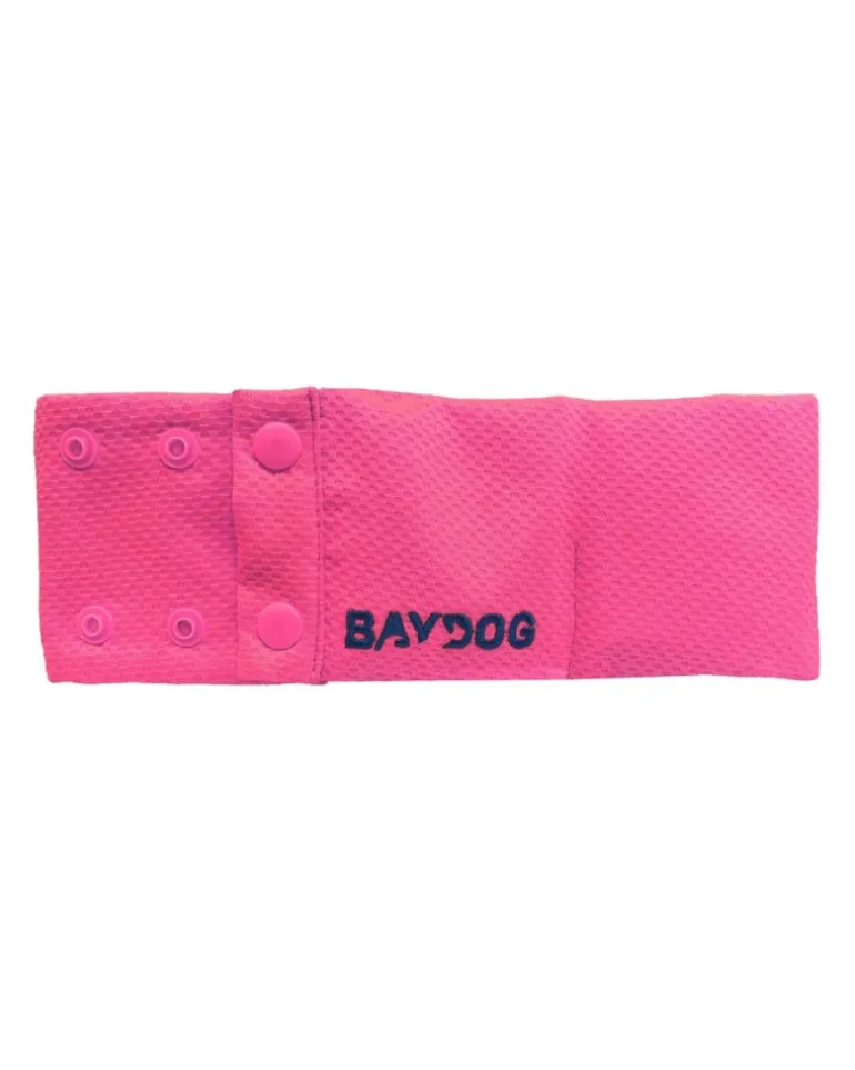 Arctic Cooling Collar for Dogs