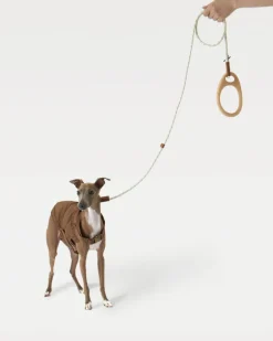 Ash Wood Handle Dog Leash