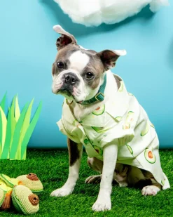Avocado Button Dog Shirt for Dogs (FINAL SALE)