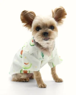 Avocado Button Dog Shirt for Dogs (FINAL SALE)