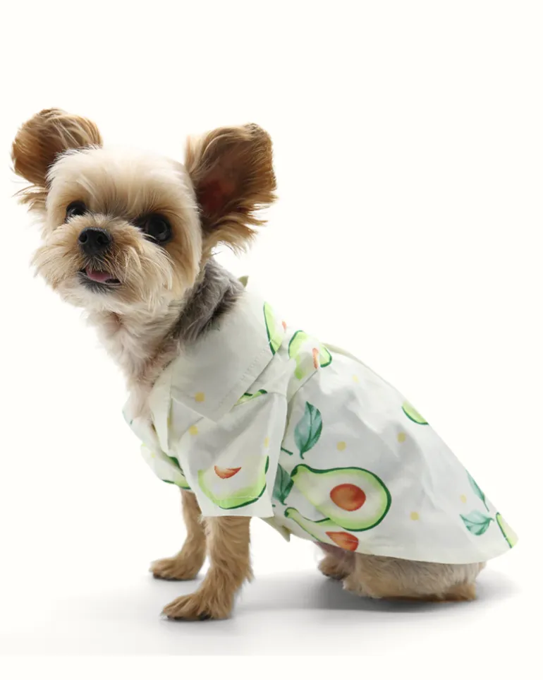 Avocado Button Dog Shirt for Dogs (FINAL SALE)