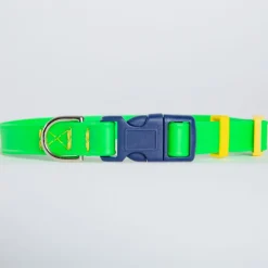 A Walk in the Park Dog Collar in Neon Green (Made in the USA)