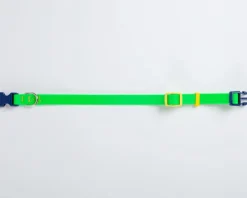 A Walk in the Park Dog Collar in Neon Green (Made in the USA)