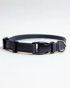 A Walk in the Park Dog Collar in Black (Made in the USA)