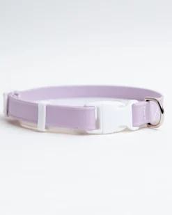 A Walk in the Park Dog Collar in Black (Made in the USA)