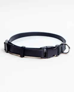 A Walk in the Park Dog Collar in Black (Made in the USA)