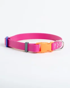A Walk in the Park Dog Collar in Magenta Pink (Made in the USA)