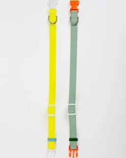 A Walk in the Park Dog Collar in Sage Green (Made in the USA)