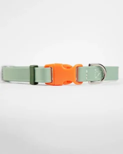 A Walk in the Park Dog Collar in Sage Green (Made in the USA)