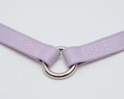 A Walk in the Park Dog Leash in Black (Made in the USA)