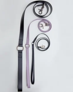 A Walk in the Park Dog Leash in Black (Made in the USA)