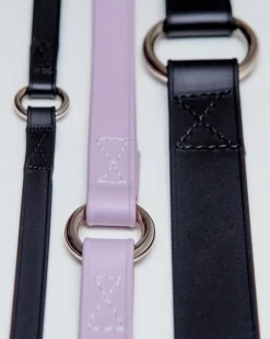 A Walk in the Park Dog Leash in Black (Made in the USA)